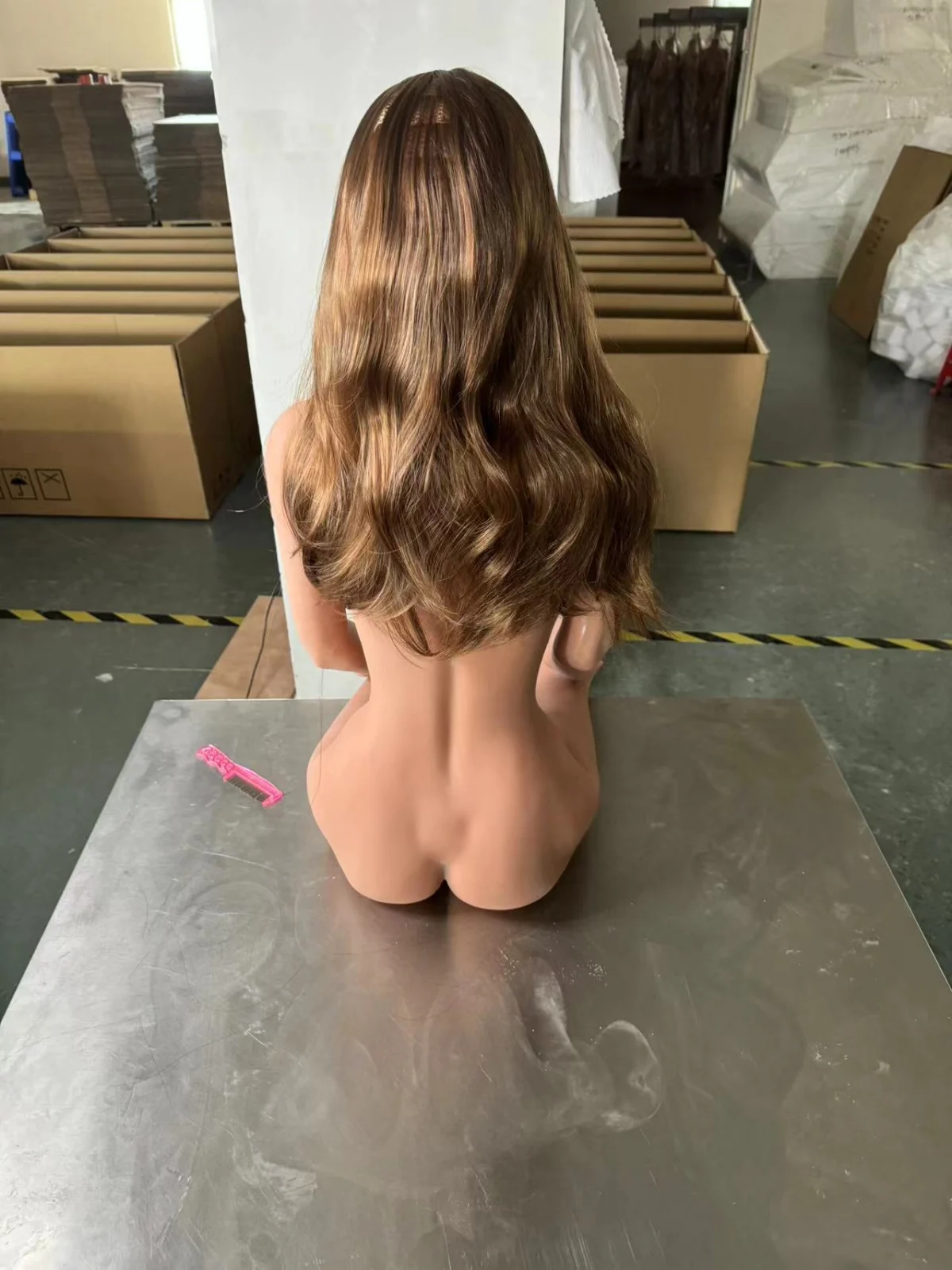 Amira 10 Amira